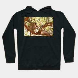 Green Monkey Hoodie